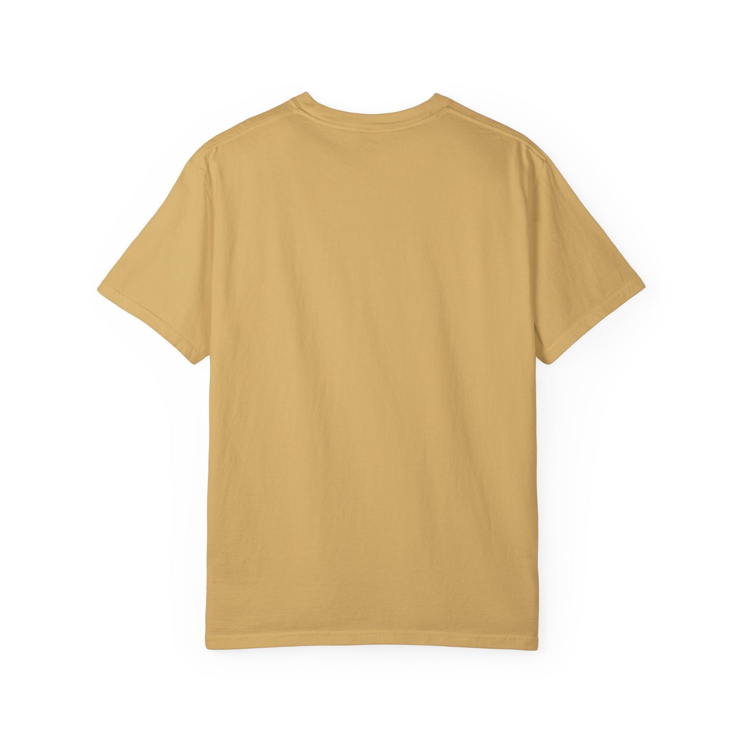 "No Fear No Limits No Excuses" Positive Affirmations Comfort Colors T-shirt