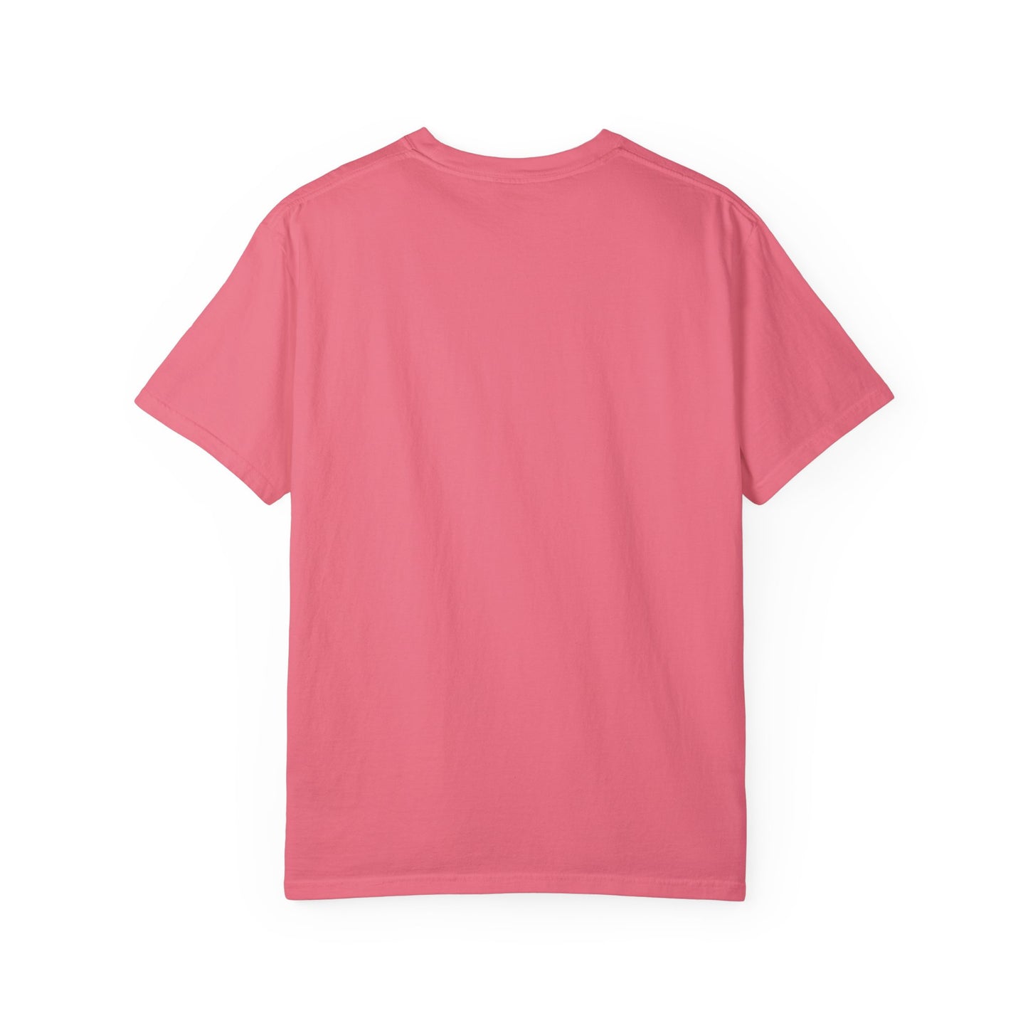 Colorful "Sketchy Horseplay" Comfort Colors T-shirt